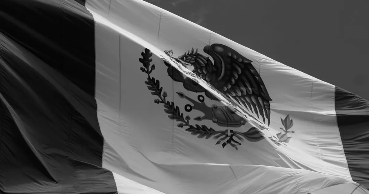 Dramatic black and white photo of the Mexican flag waving on a windy day.